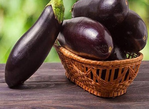 تصویر 3 از قیمت بادمجان سیاه افغانی + خرید باور نکردنی